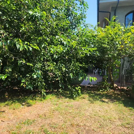 Gioia Montedoro Viareggio