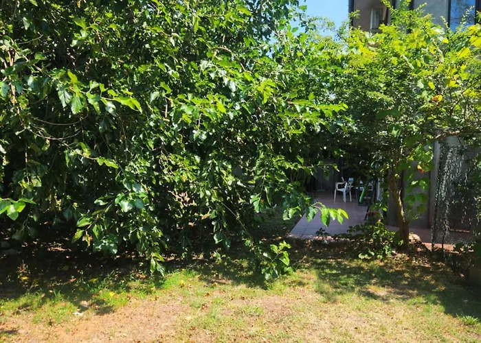 Gioia Montedoro Viareggio